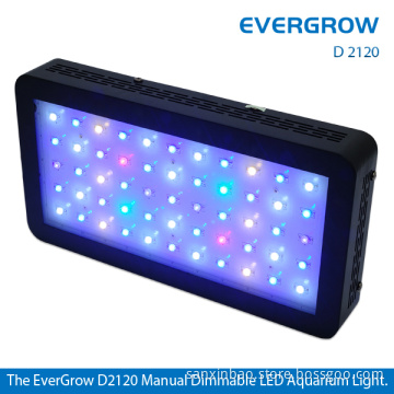 High Output LED Aquarium Light for Marine Use
